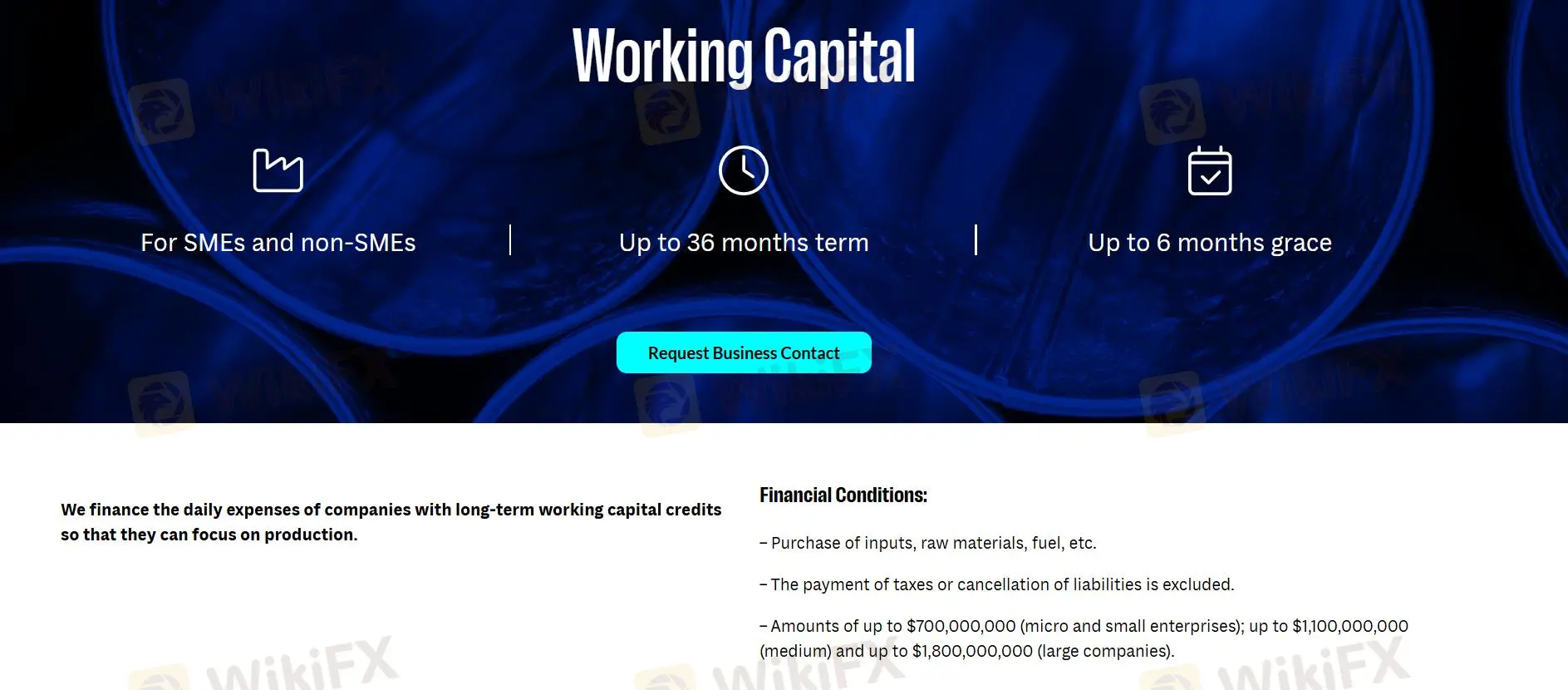 Working Capital Financing