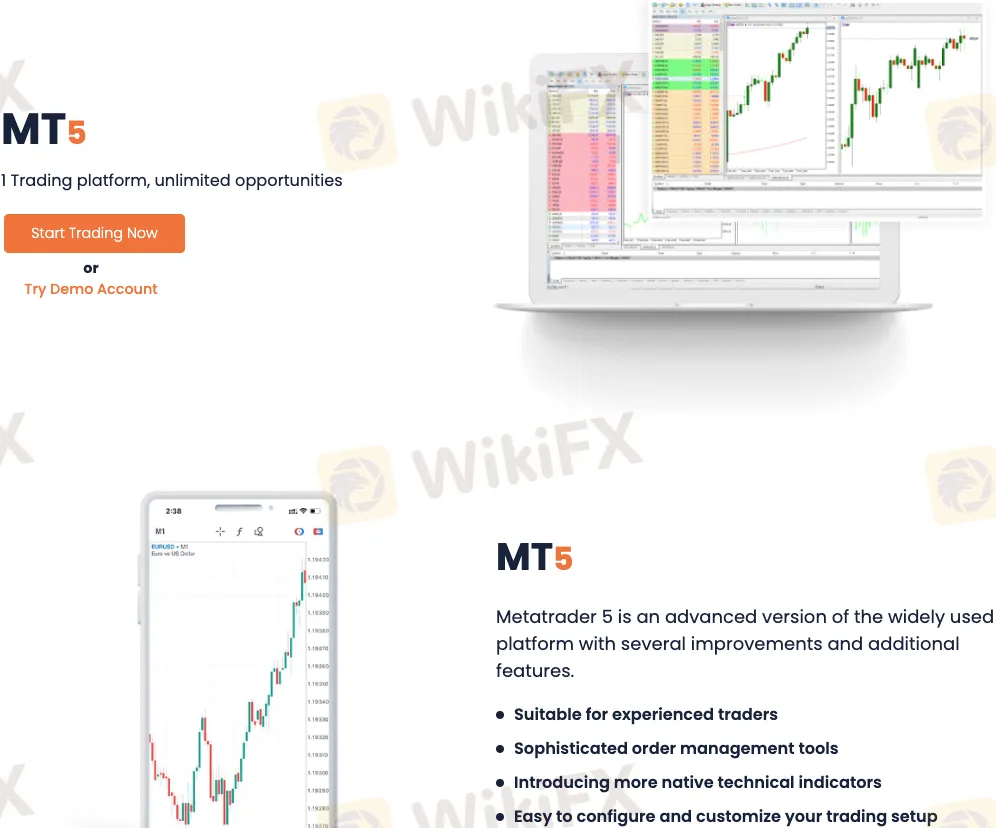 Platform Trading Platform Trading