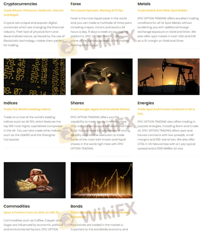 What Can I Trade on EPIC OPTION TRADING?