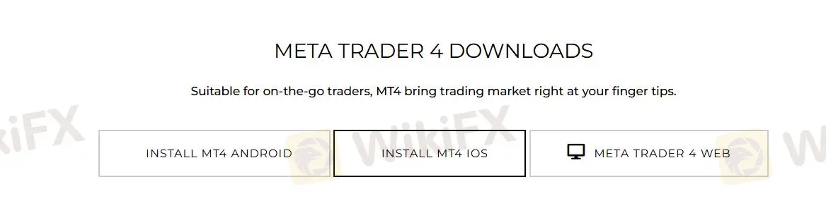 MT4