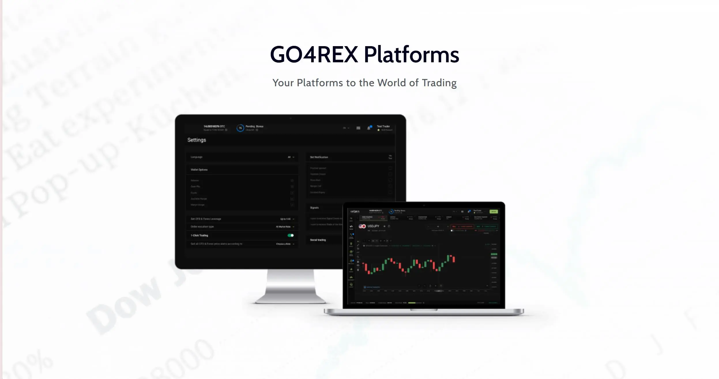 GO4REX GO4REX