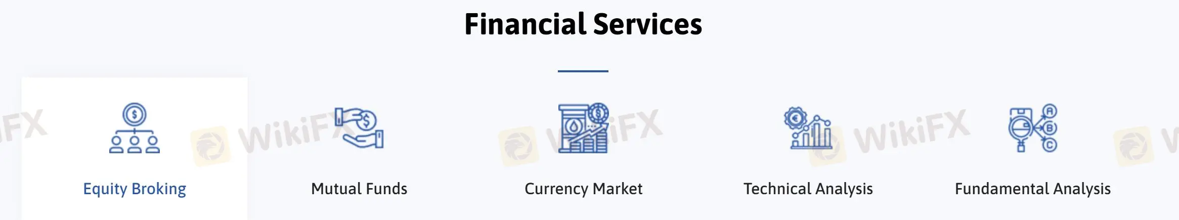 What services does NMV provide?