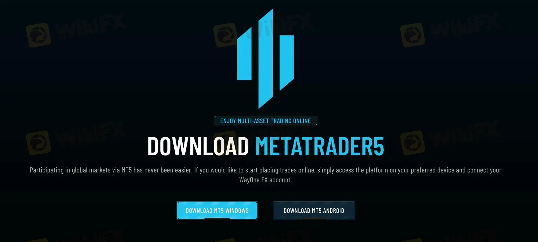 MT5