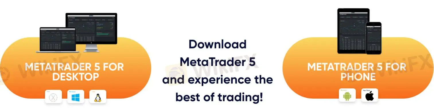 MT5
