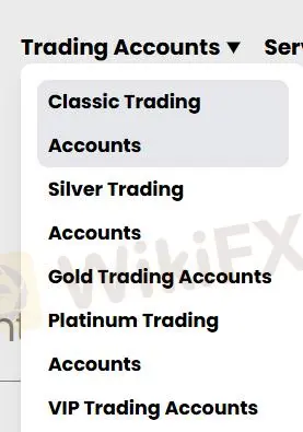 账户类型 账户类型