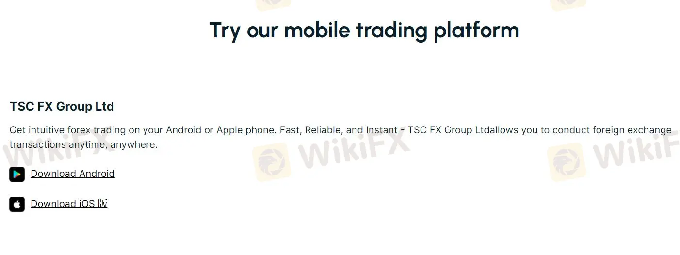 İşlem Platformu İşlem Platformu