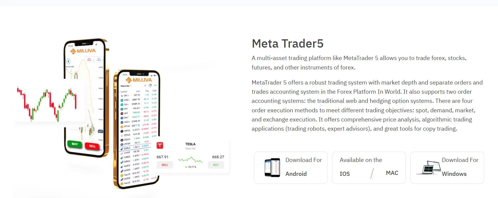 Plataforma de Trading