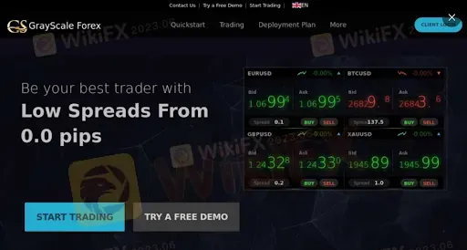 GrayScale Forexs homepage