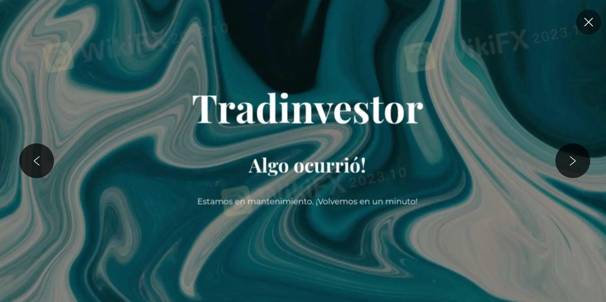 TradInvestor Information TradInvestor Information