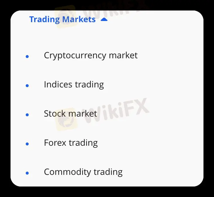 Bạn có thể giao dịch gì trên IGM Forex?