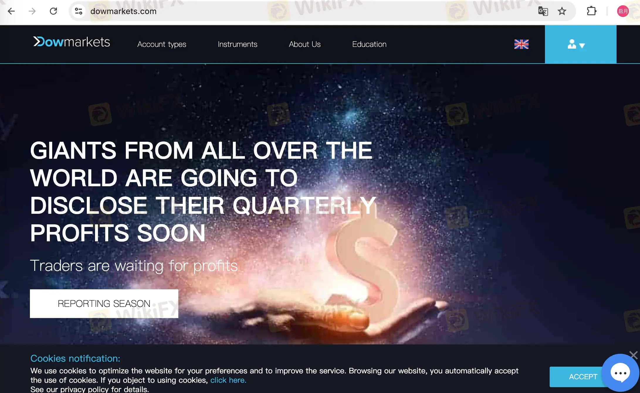 DowMarkets' 主頁