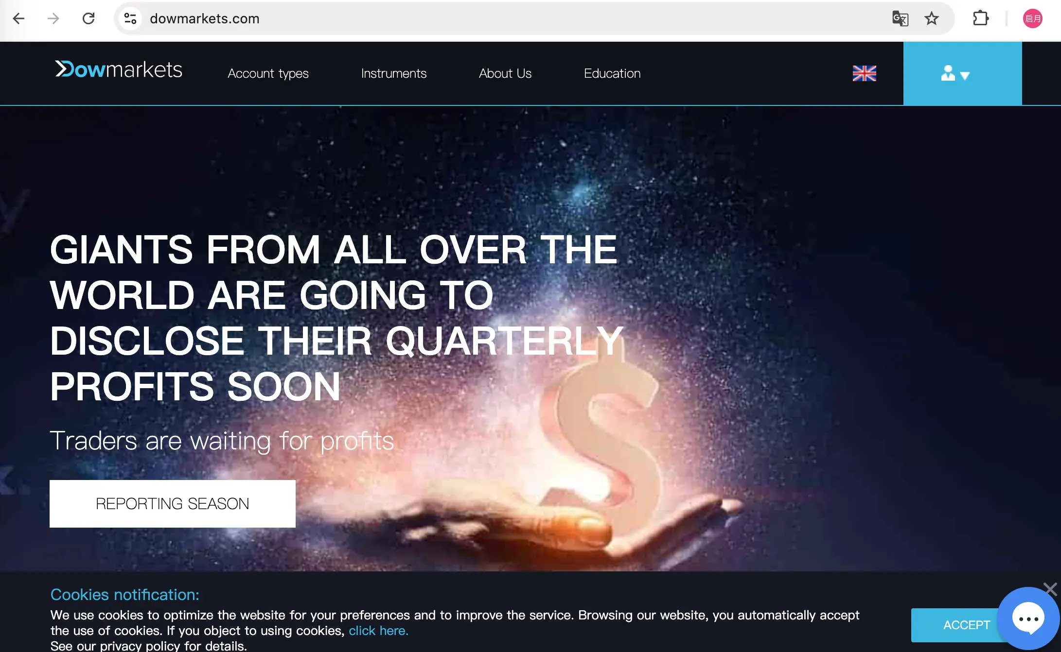 DowMarkets' homepage