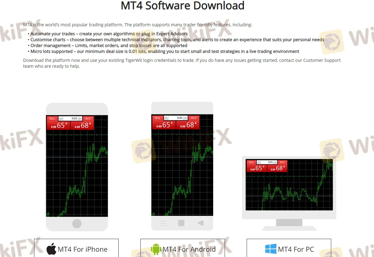 MT4