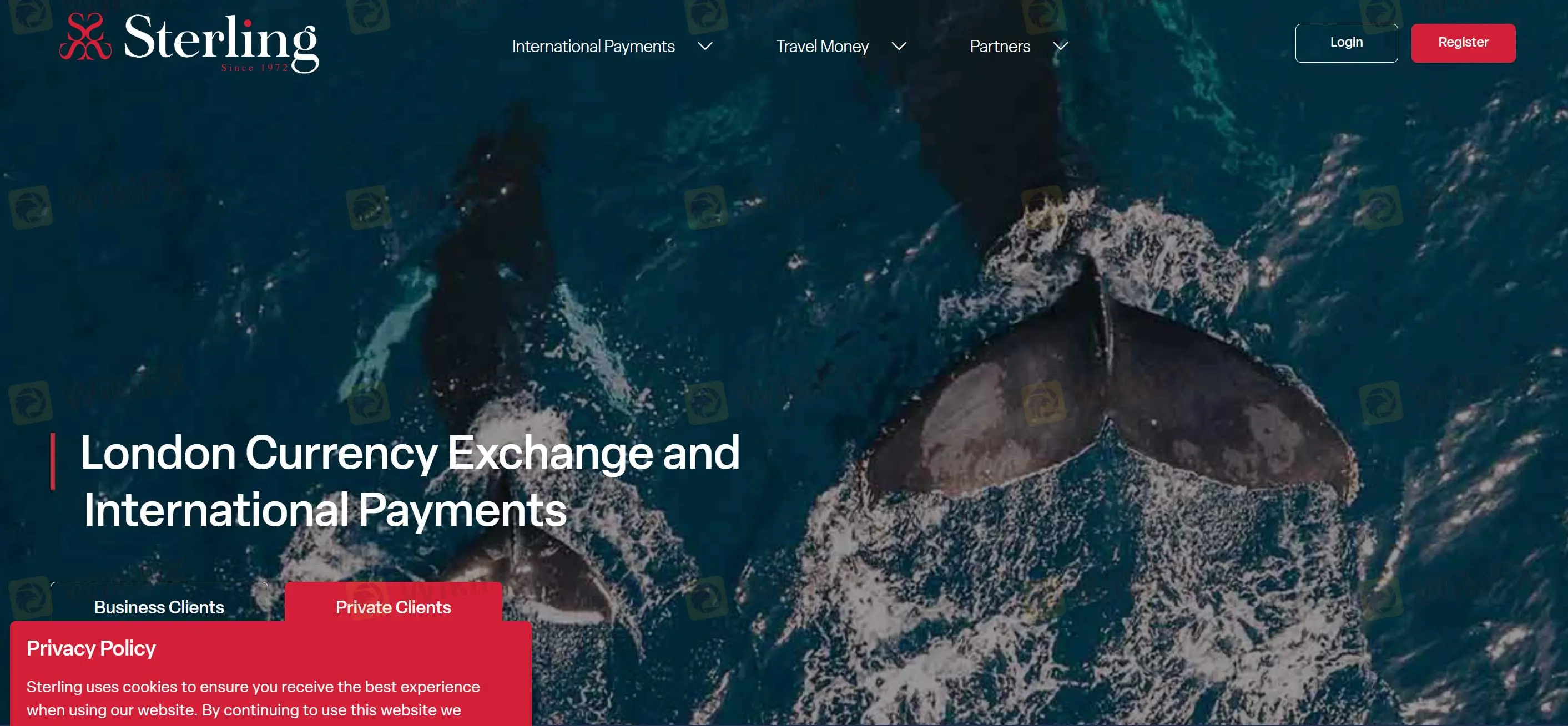 STERLING FX Information STERLING FX Information