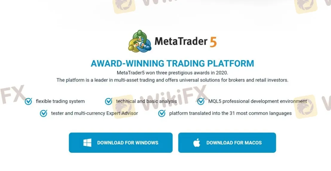 MT5