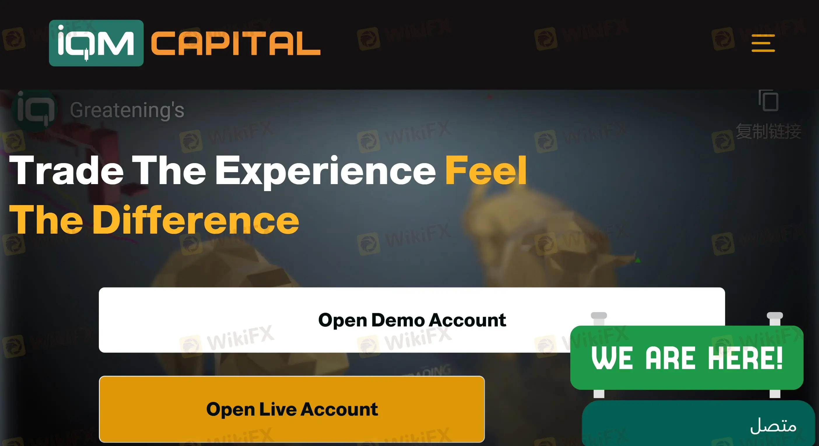 Impormasyon ng IQM CAPITAL