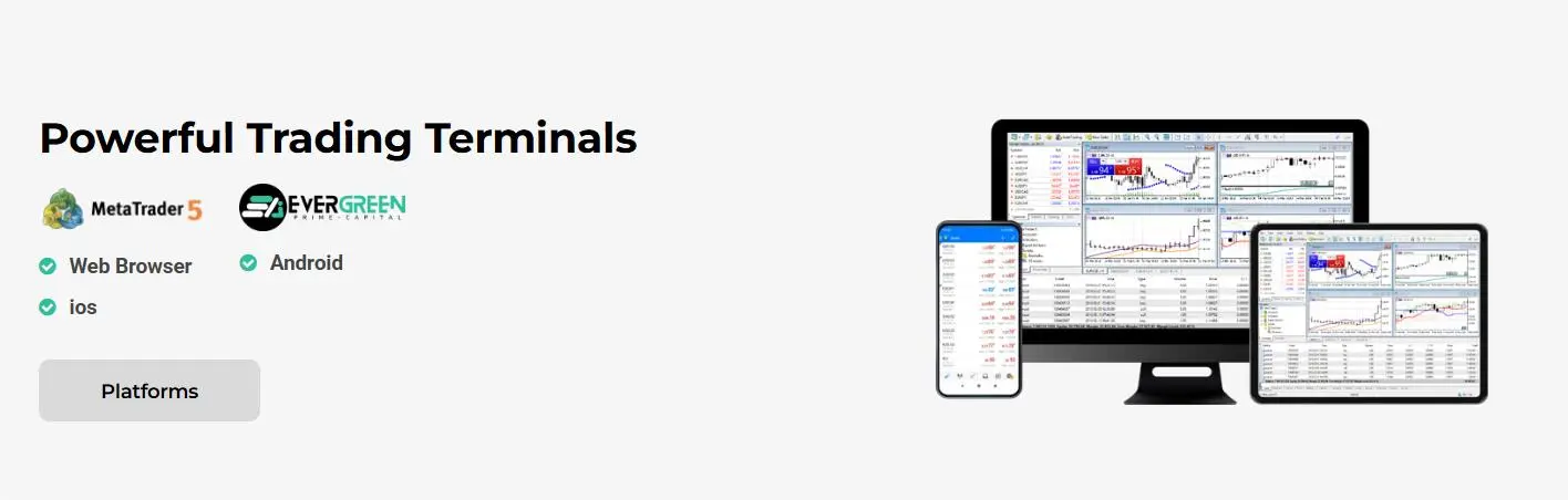 Trading Platform Trading Platform