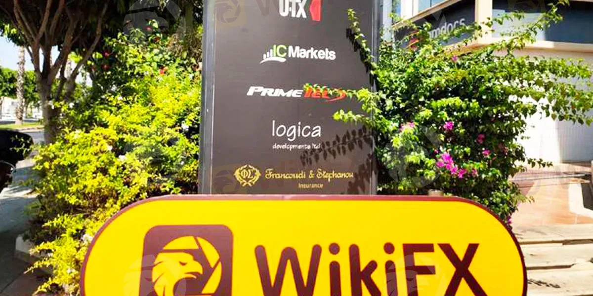 WikiFX survey 1