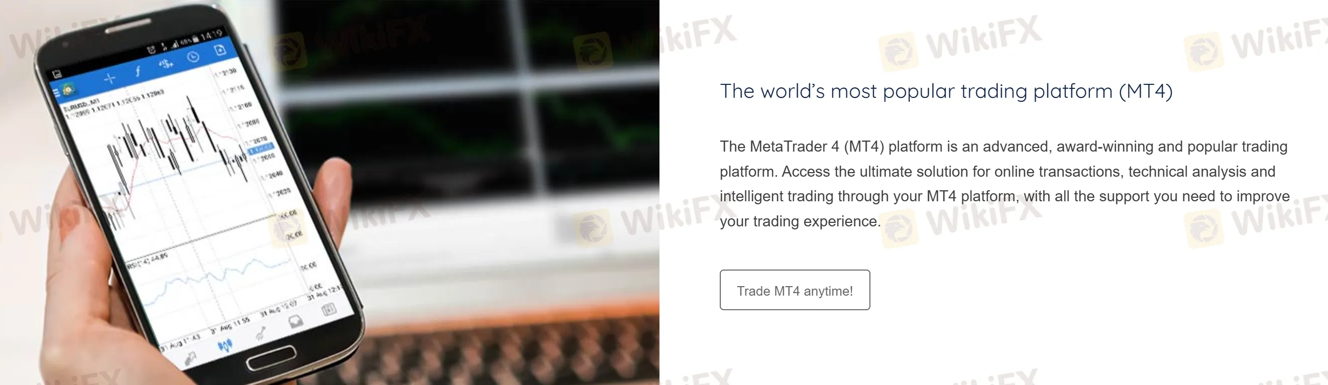 MT4