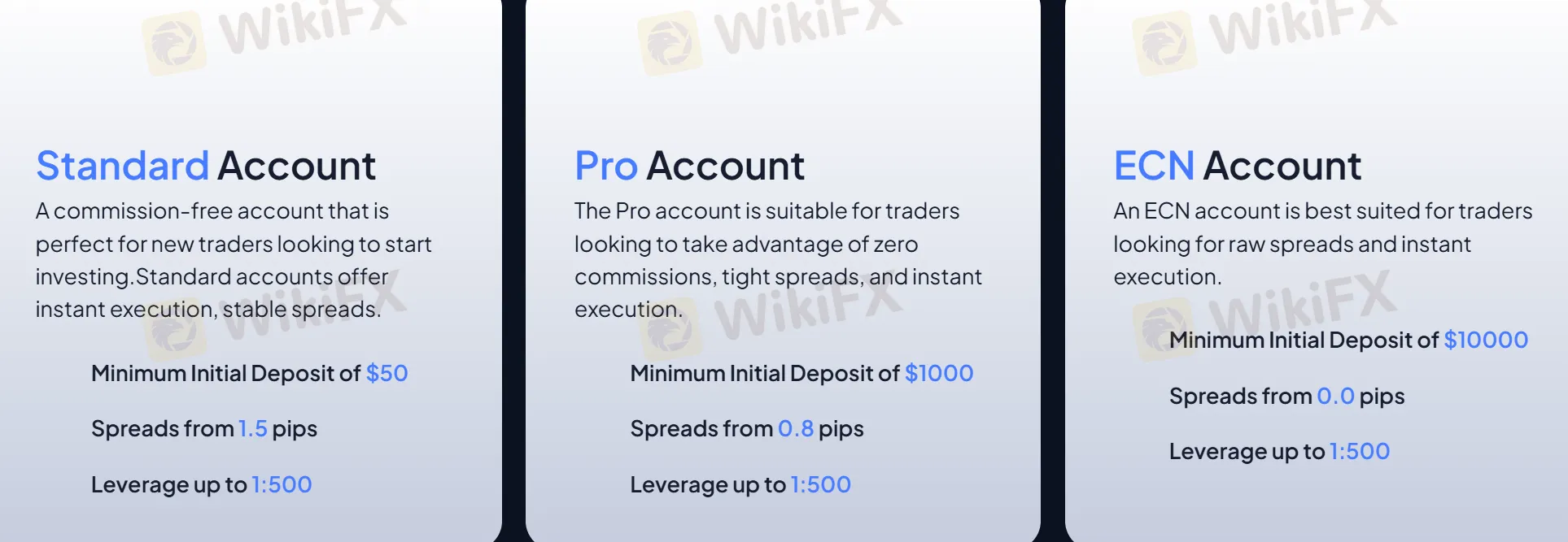 Account comparison