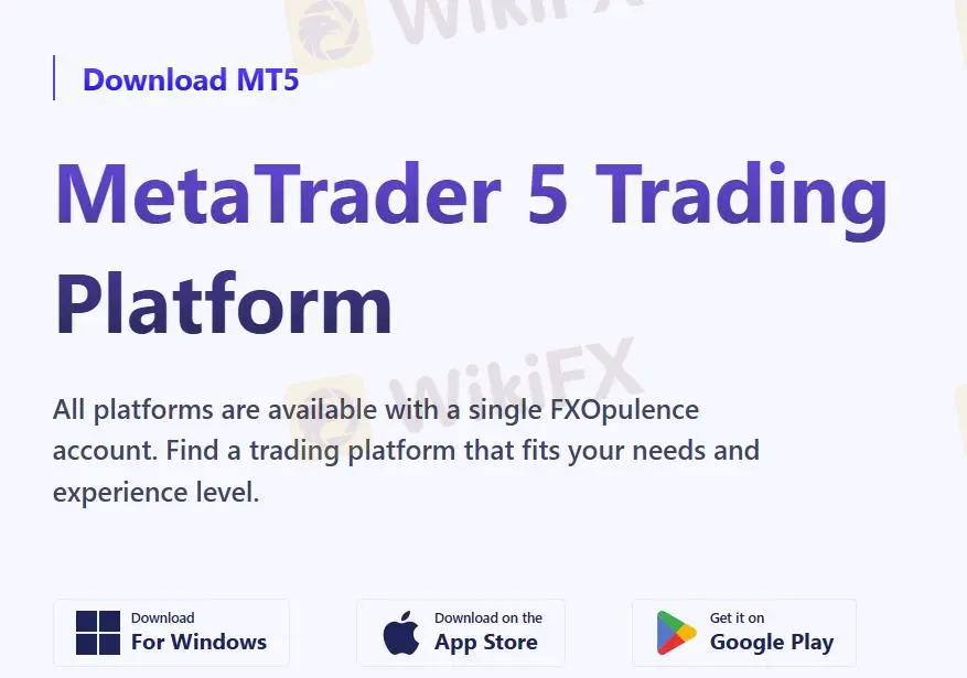 Platform Perdagangan