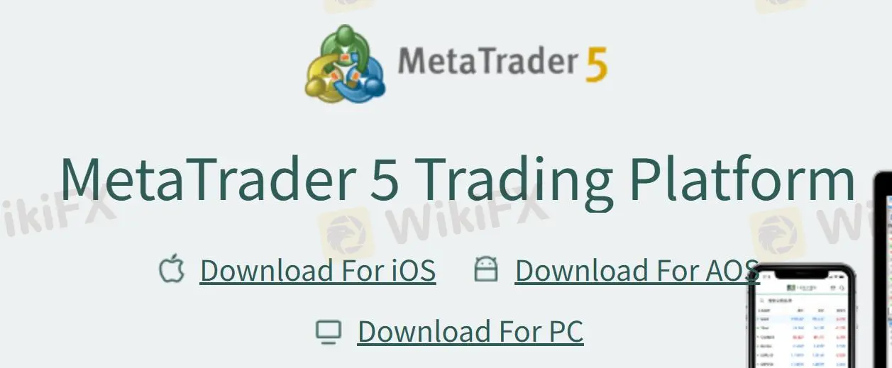 Trading Platform Trading Platform