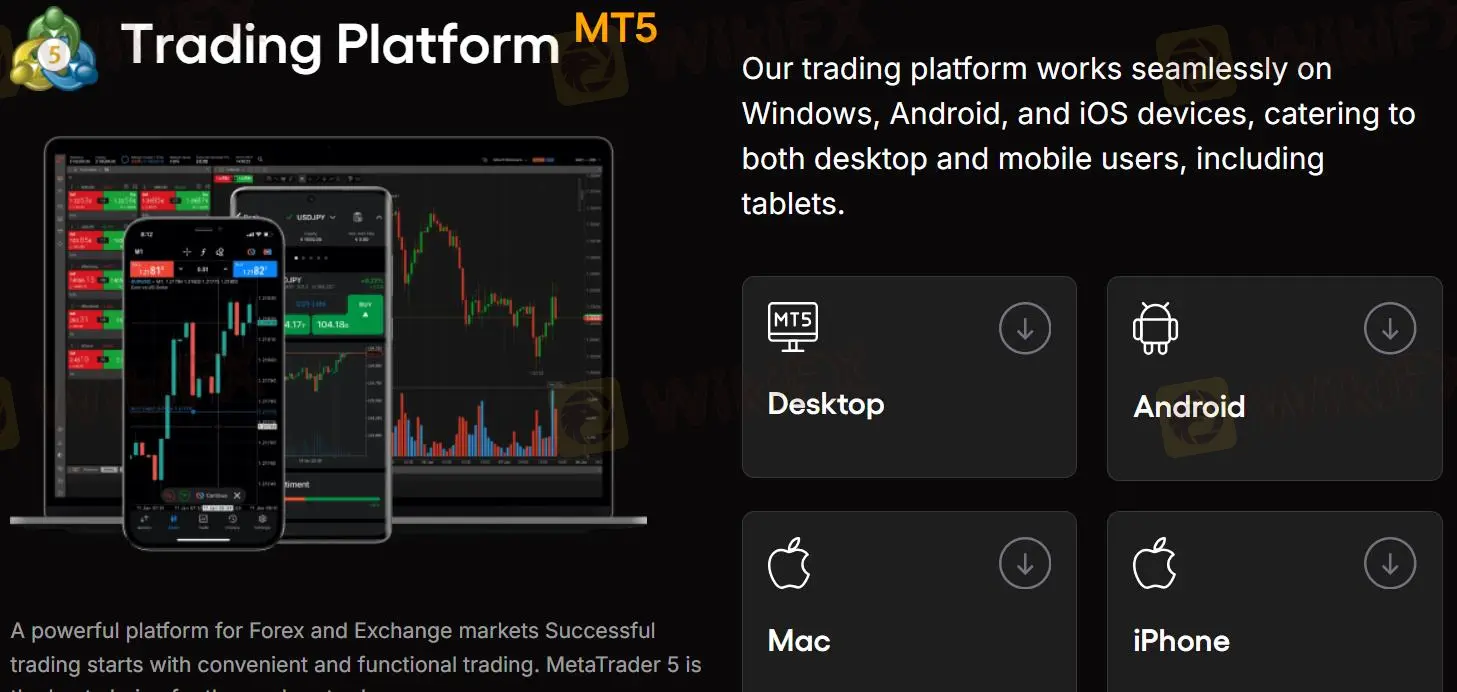 Торговая платформа