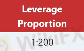 Leverage