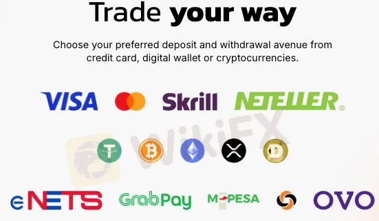 Deposit and Withdrawal Methods and Fees