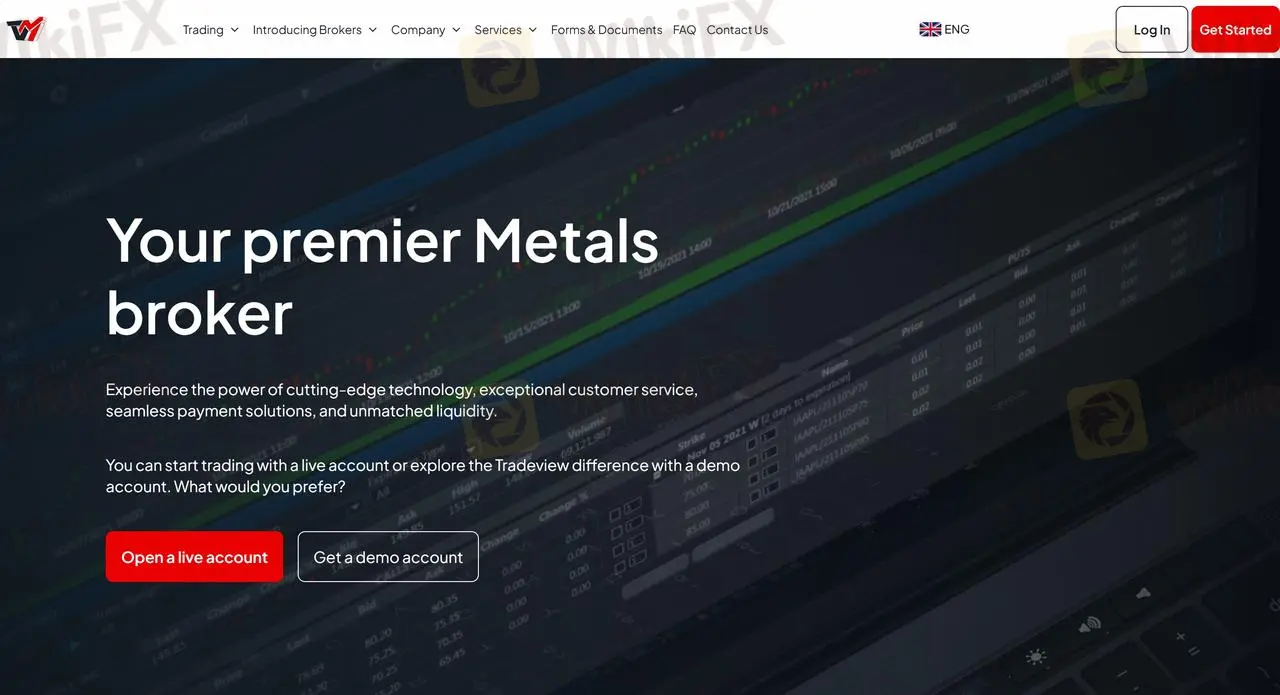 Tradeview's homepage
