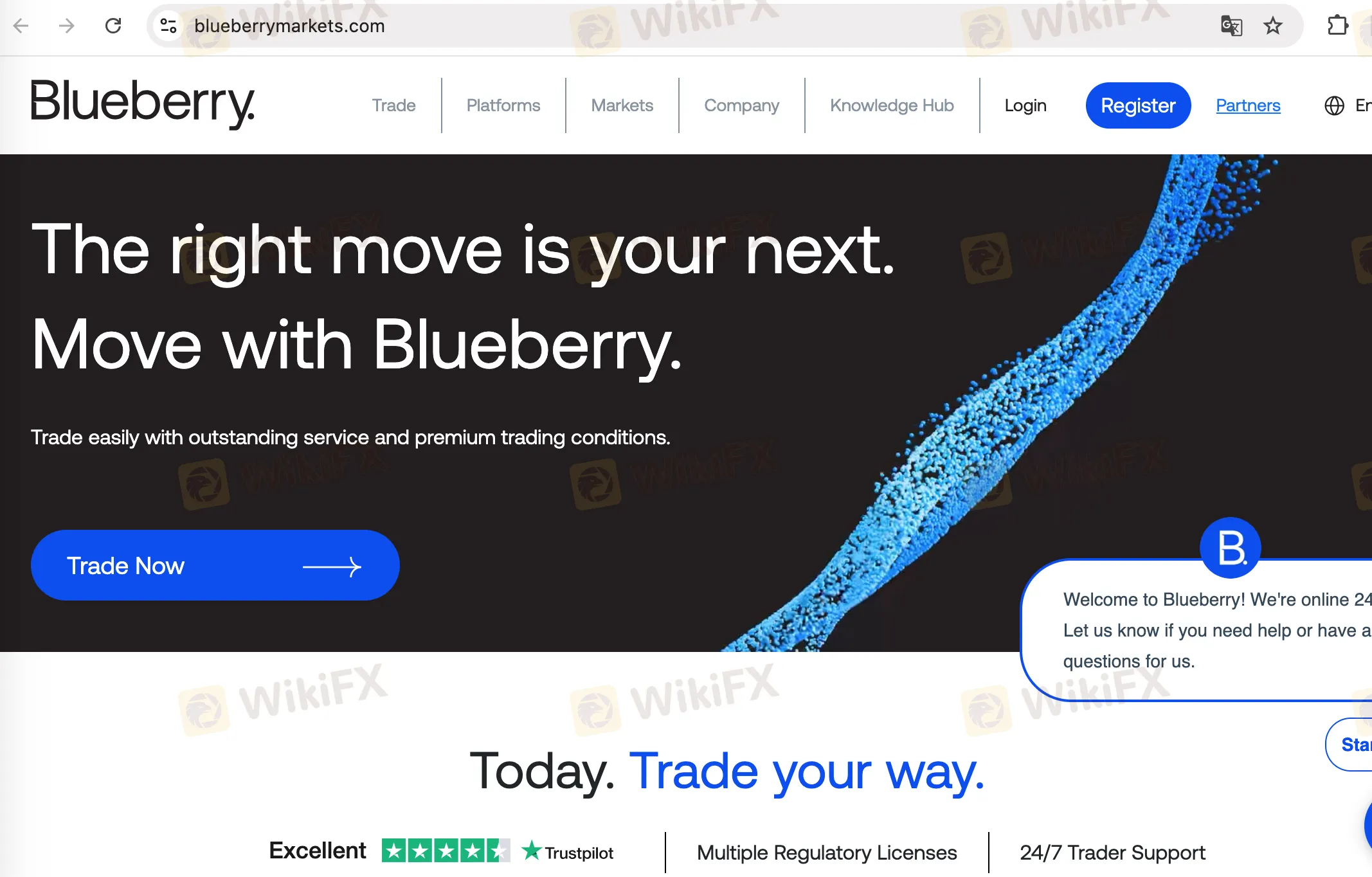 Blueberry Markets Information