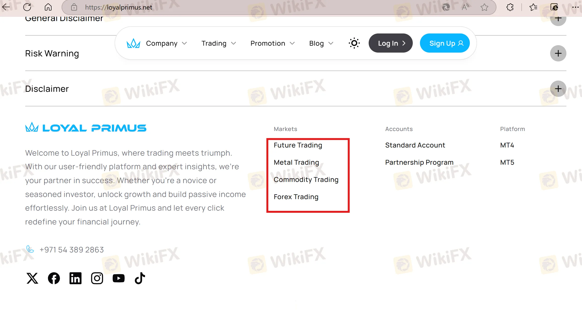 Apa yang Bisa Saya Perdagangkan di Loyal Primus?