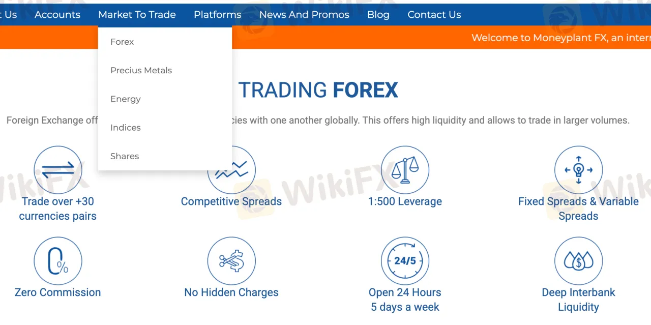 What Can I Trade on MONEYPLANT?