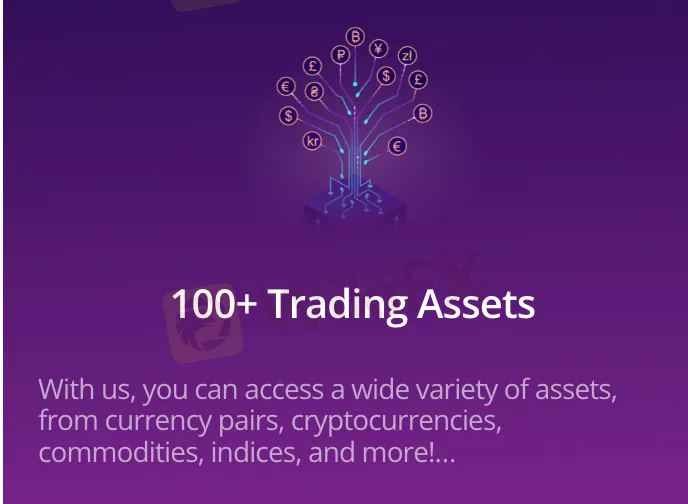 What Can I Trade on IQCent?
