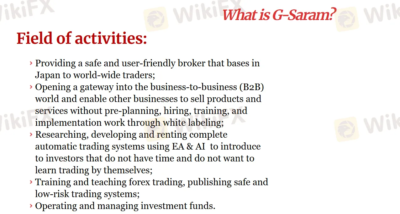 G-Saram Field of activities