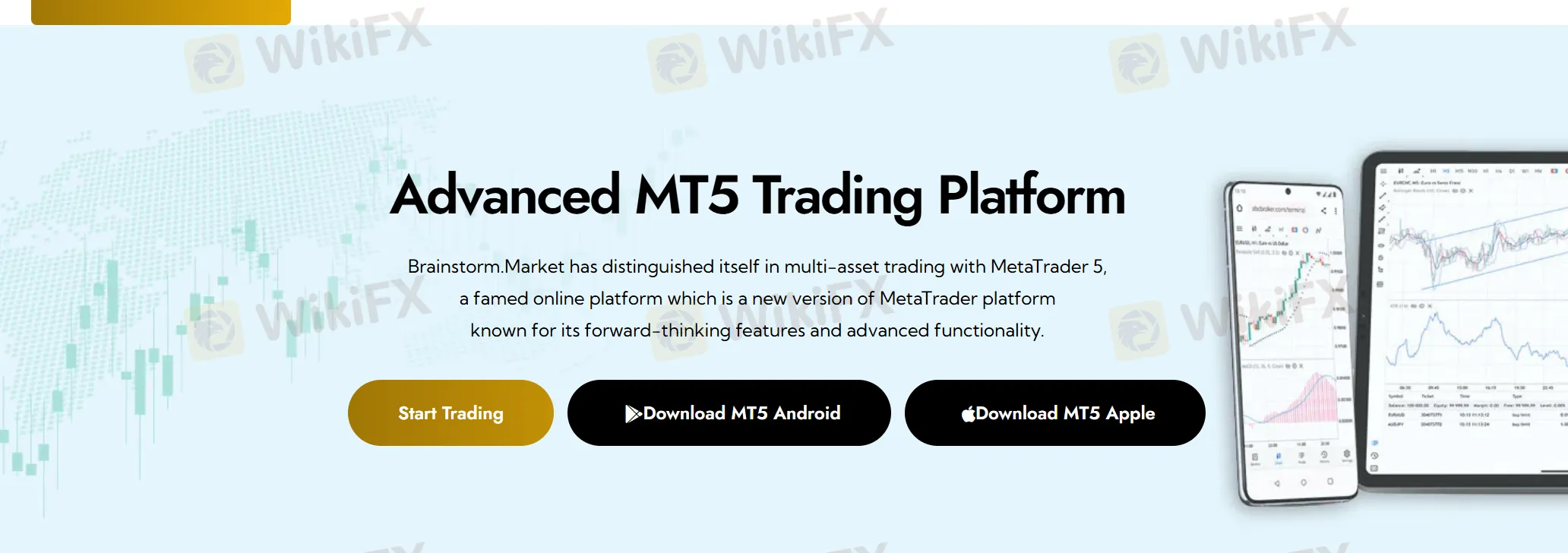 MT5