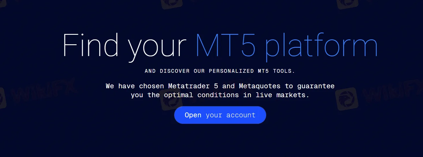 MT5