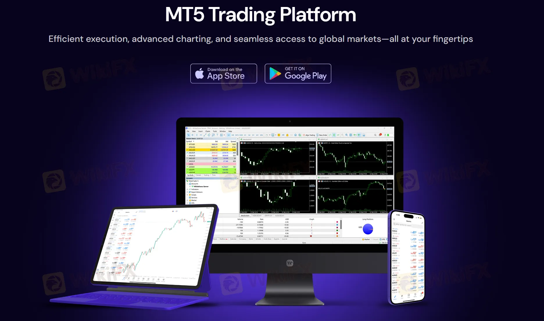 MT5
