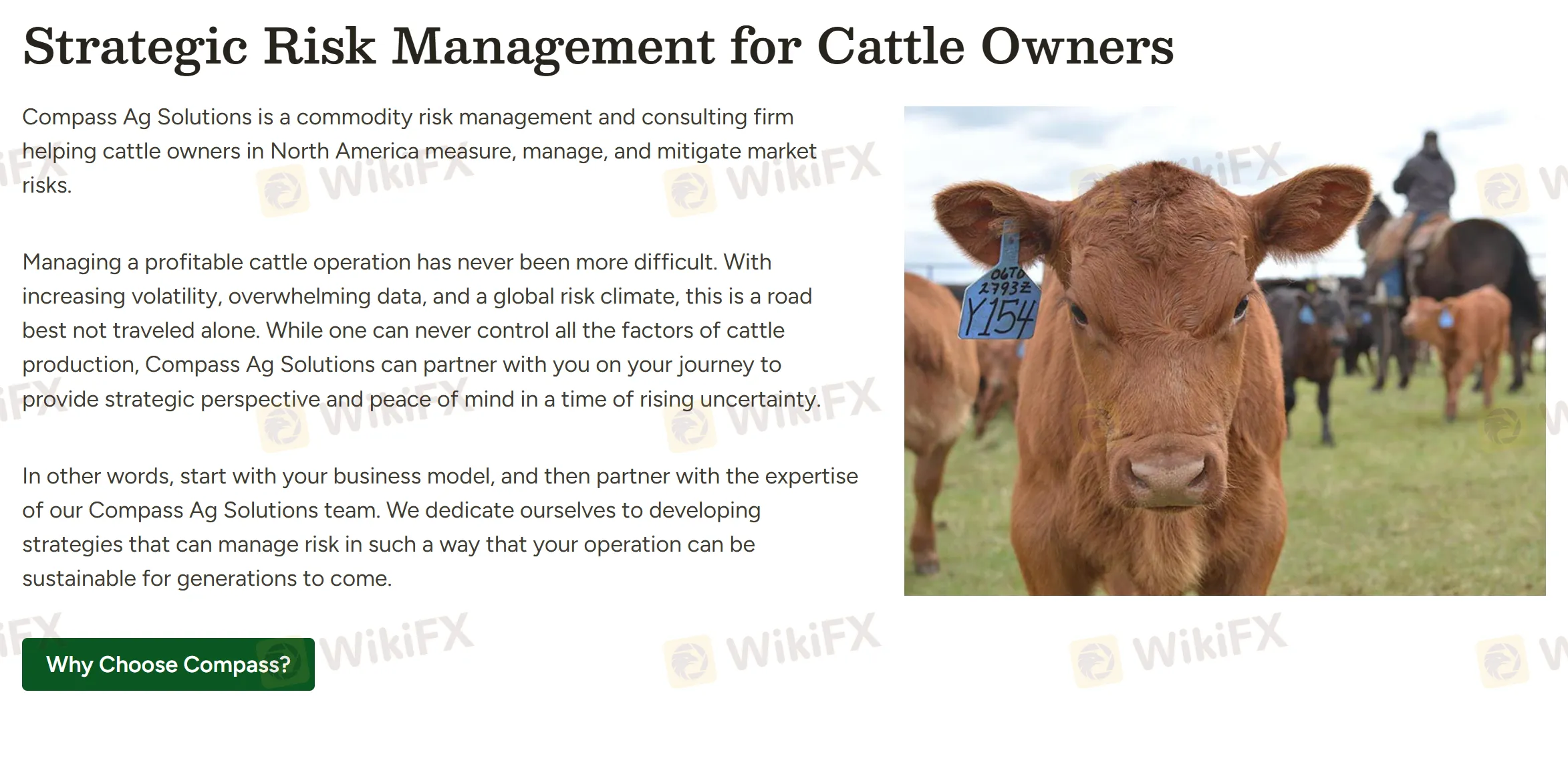 Gestion des risques Gestion des risques