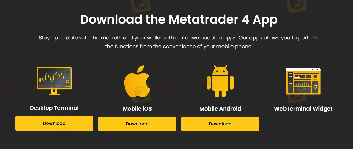 Plateforme de trading Plateforme de trading