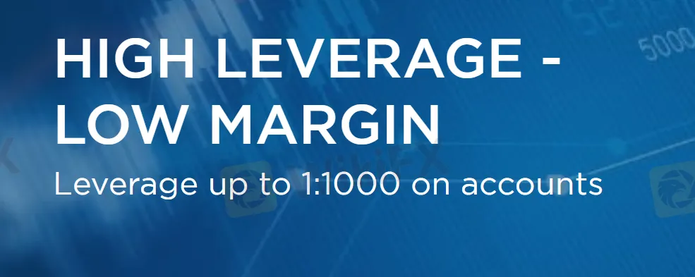 Leverage