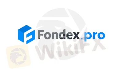 Fondex Information