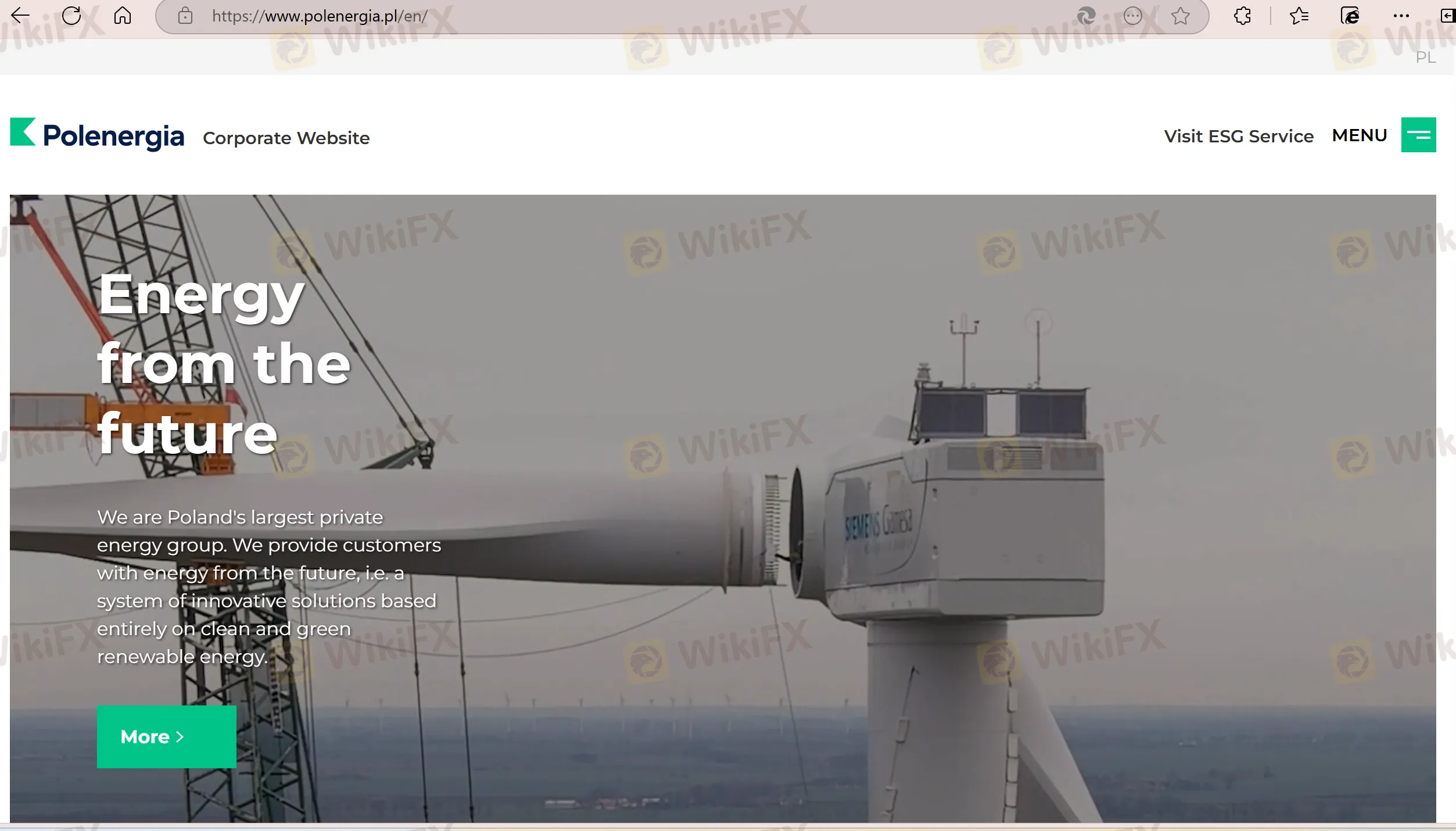 Polenergia's homepage