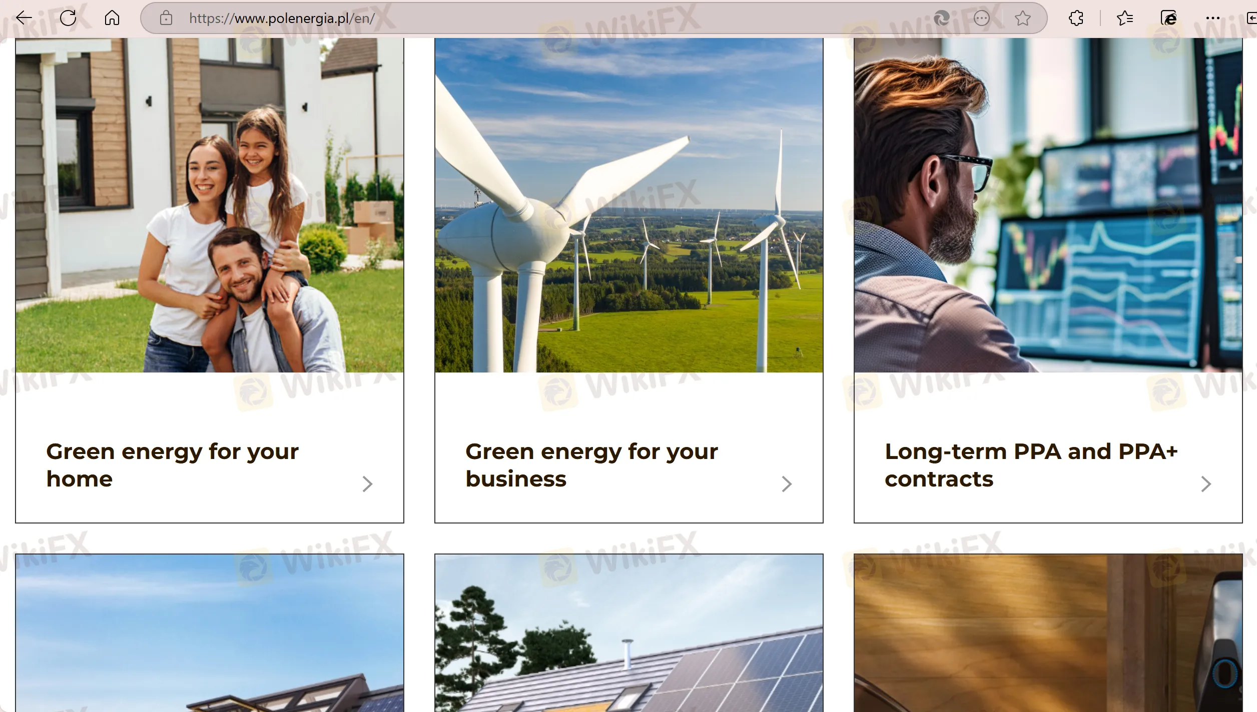 Polenergia Services
