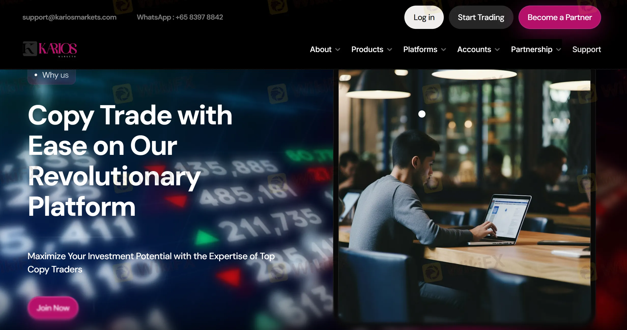 Copy & Social Trading