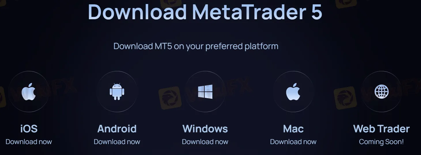 交易平台 交易平台