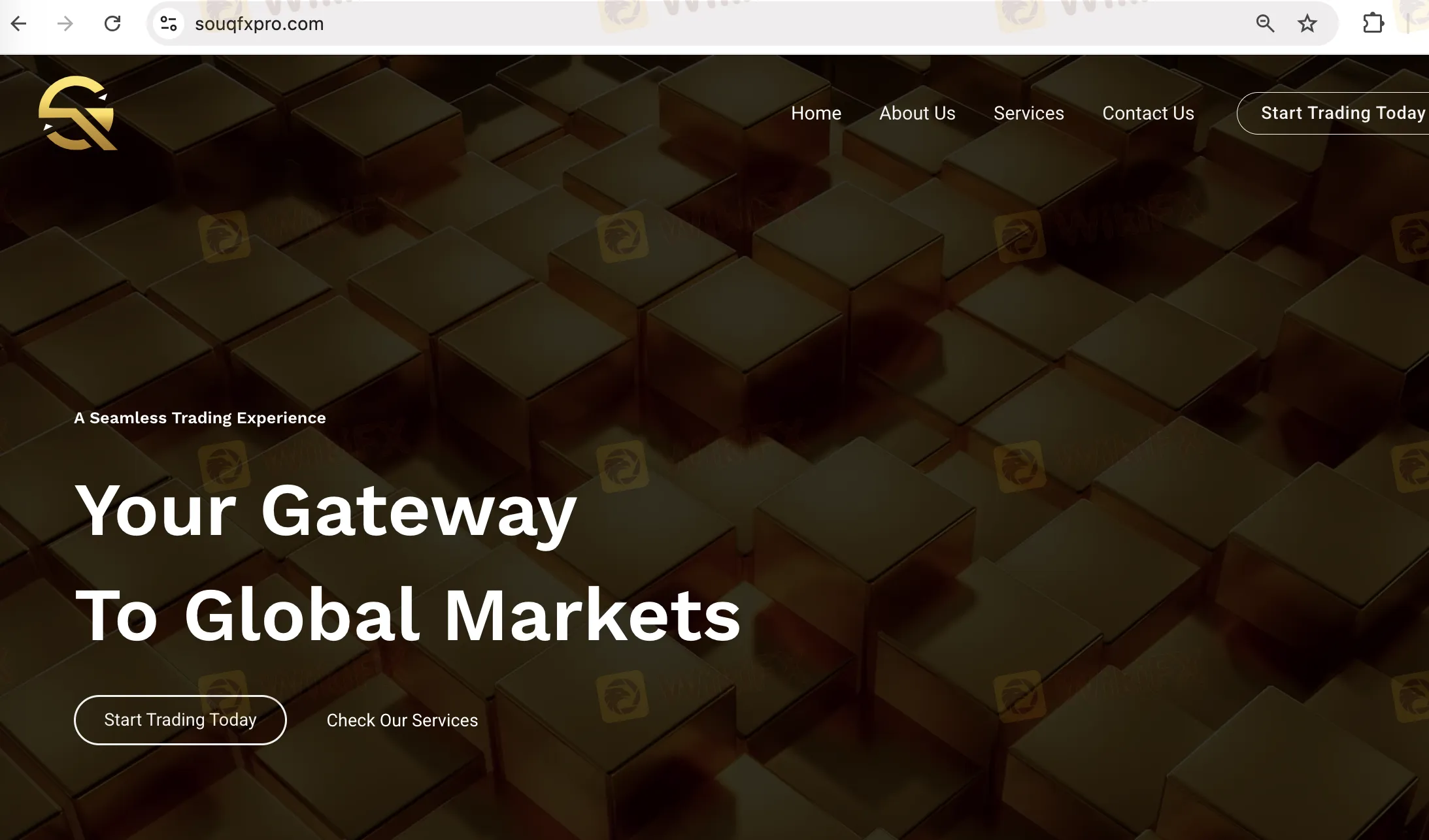 SouqFX Information