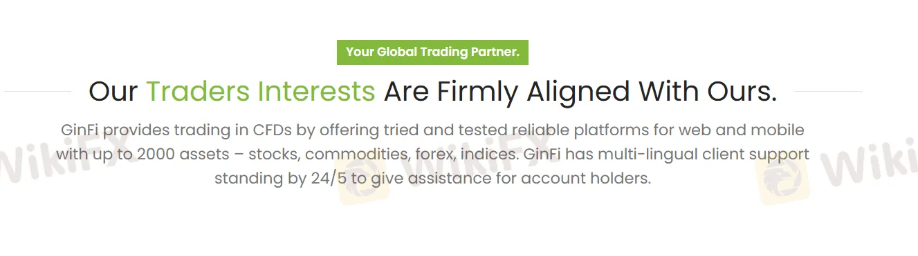 GinFi assets