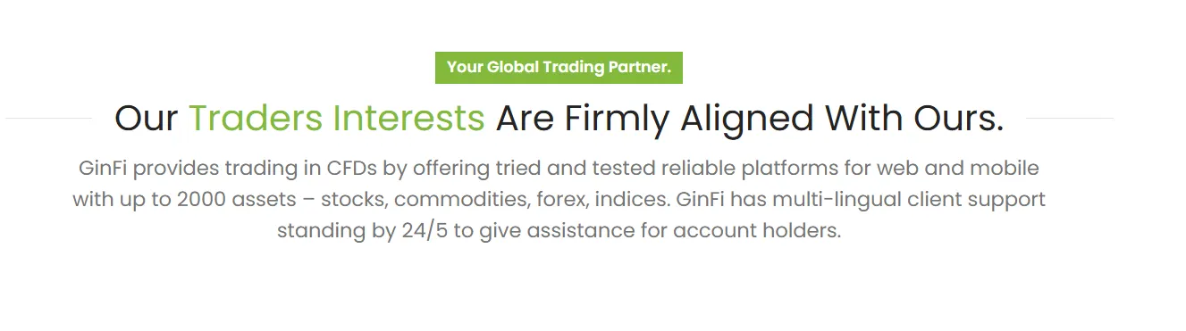 GinFi assets