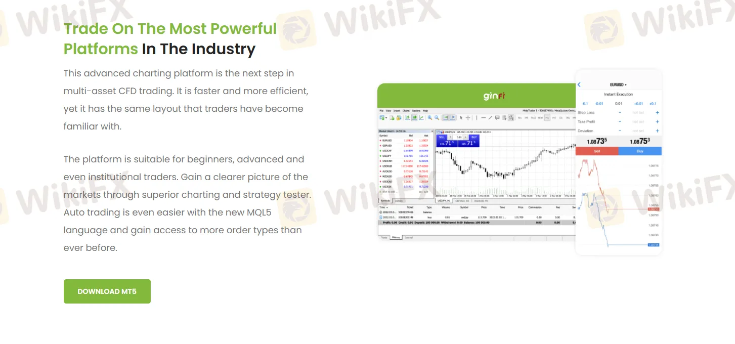 GinFi trading platform 2